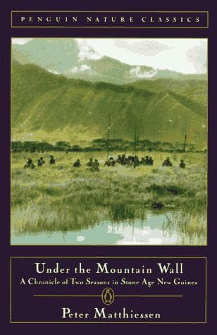 Tapa de Under the Mountain Wall