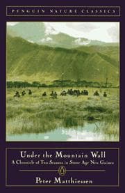 Tapa de Under the Mountain Wall