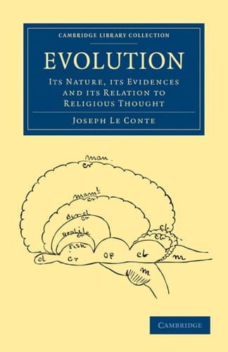 Tapa de Evolution