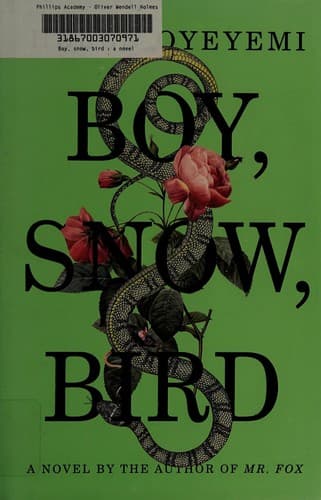 Tapa de Boy, Snow, Bird