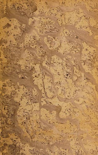 Tapa de Poesʹias