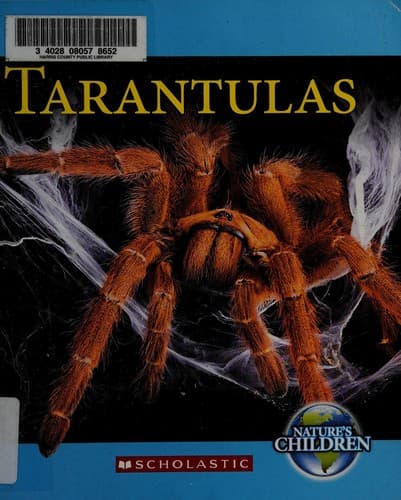 Tapa de Tarantulas