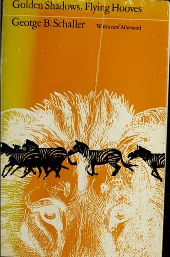 Tapa de Golden shadows, flying hooves