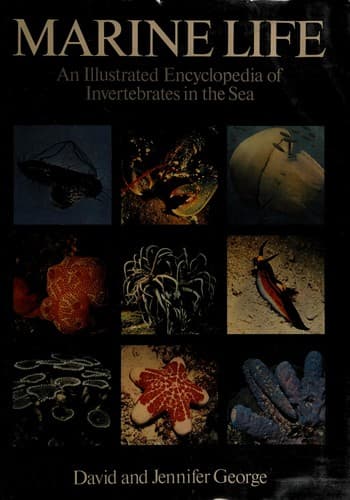 Tapa de Marine life