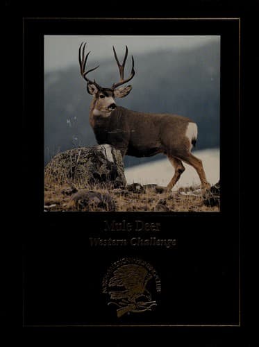 Tapa de Mule deer