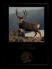 Tapa de Mule deer