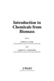 Tapa de Introduction to chemicals from biomass