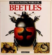 Tapa de The fascinating world of-- beetles