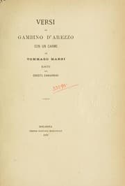 Tapa de Versi