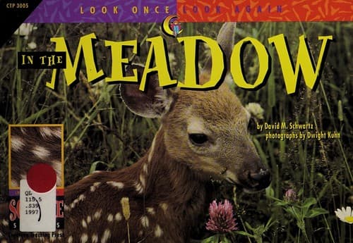 Tapa de In the Meadow