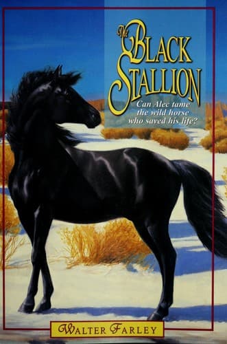 Tapa de The black stallion