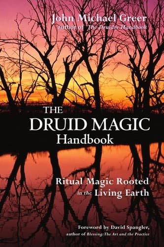 Tapa de The Druid magic handbook