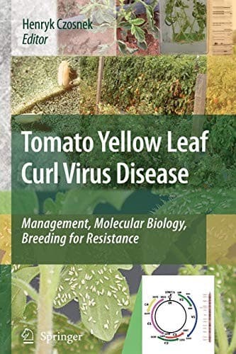 Tapa de Tomato Yellow Leaf Curl Virus Disease
