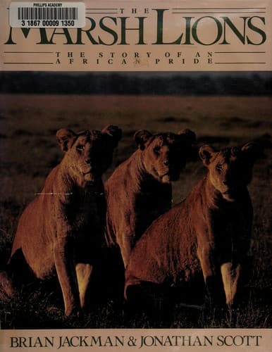 Tapa de The marsh lions