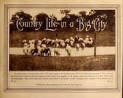 Tapa de Country life in a big city