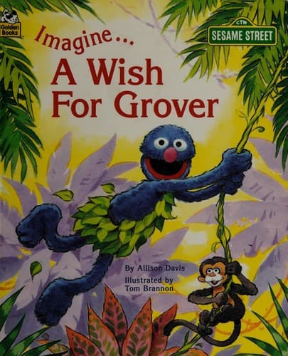 Tapa de Imagine... A Wish for Grover