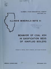 Tapa de Behavior of coal ash in gasification beds of ignifluid boilers