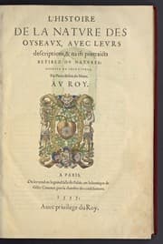 Tapa de L'histoire de la natvre des oyseavx