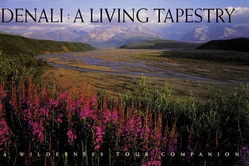 Tapa de Denali