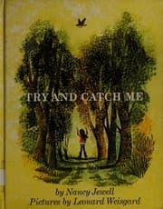 Tapa de Try and catch me