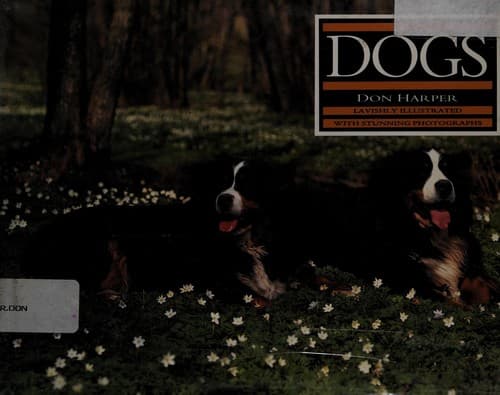 Tapa de Dogs