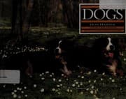 Tapa de Dogs