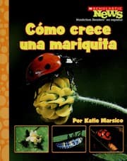 Tapa de Cómo crece una mariquita