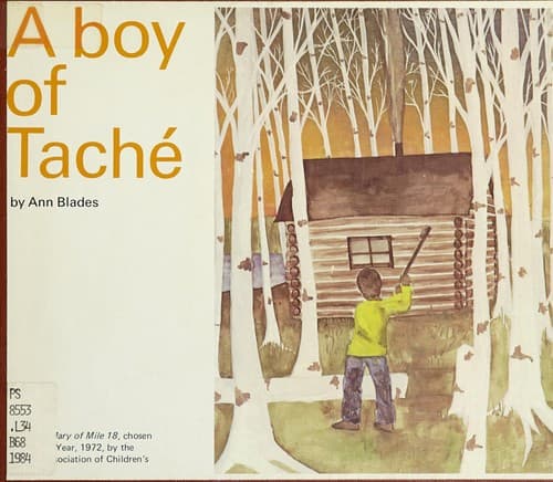 Tapa de A Boy of Tache