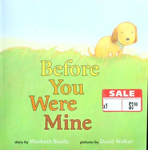 Tapa de Before you were mine
