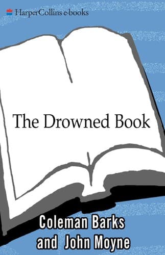 Tapa de The drowned book