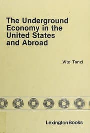 Tapa de The Underground economy in the United States and abroad