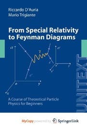 Tapa de From Special Relativity to Feynman Diagrams
