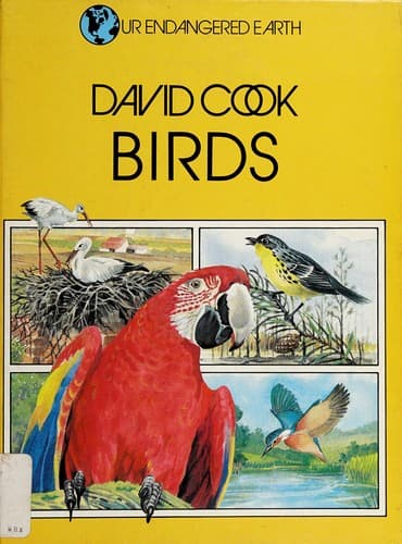 Tapa de Birds