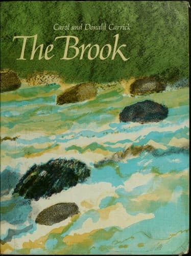 Tapa de The brook