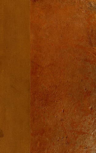 Tapa de Brancusi