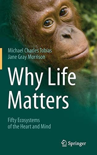 Tapa de Why Life Matters