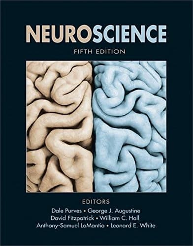 Tapa de Neuroscience