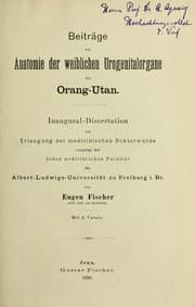 Tapa de Beiträge zur Anatomie der weiblichen Urogenitalorgane des Orang-Utan