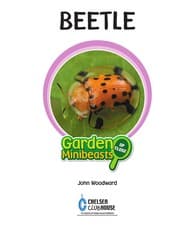 Tapa de Beetle