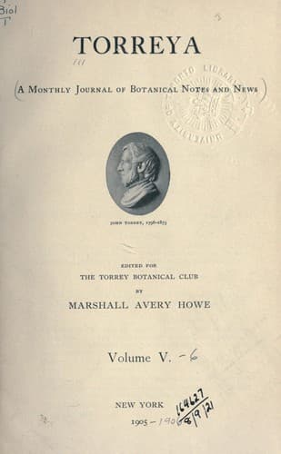 Tapa de Torreya