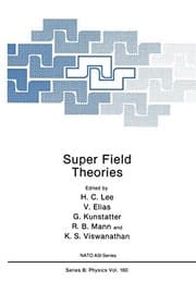Tapa de Super field theories