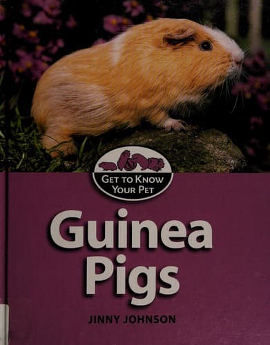 Tapa de Guinea pigs