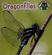 Tapa de Dragonflies