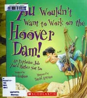 Tapa de You wouldn't want to work on the Hoover Dam!