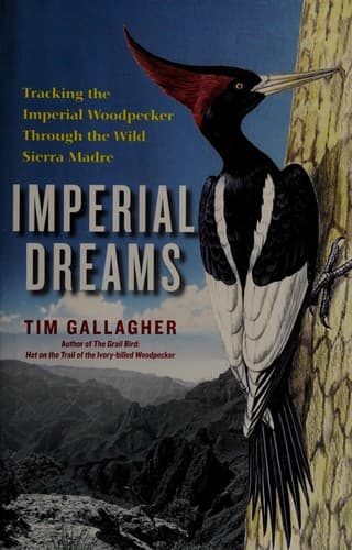 Tapa de Imperial Dreams