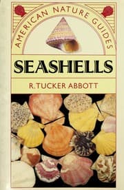 Tapa de American Nature Guides Seashells