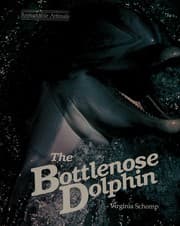 Tapa de The bottlenose dolphin