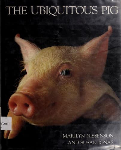 Tapa de The ubiquitous pig