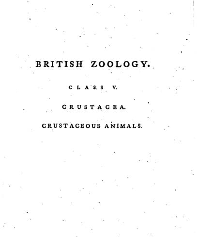 Tapa de British Zoology