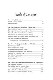 Tapa de Inner tantric yoga